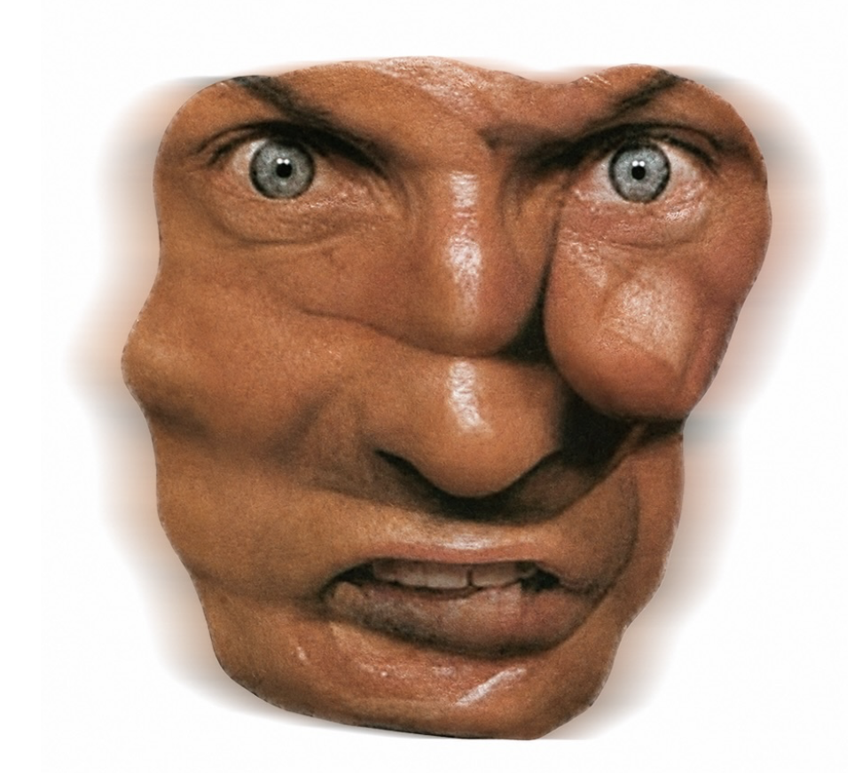 FaceFist